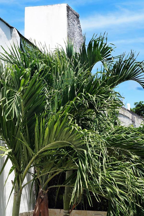 Red Panda Hostal Playa del Carmen Exterior photo