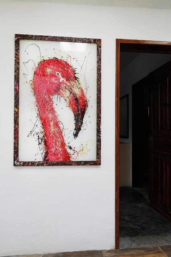 Red Panda Hostal Playa del Carmen Exterior photo