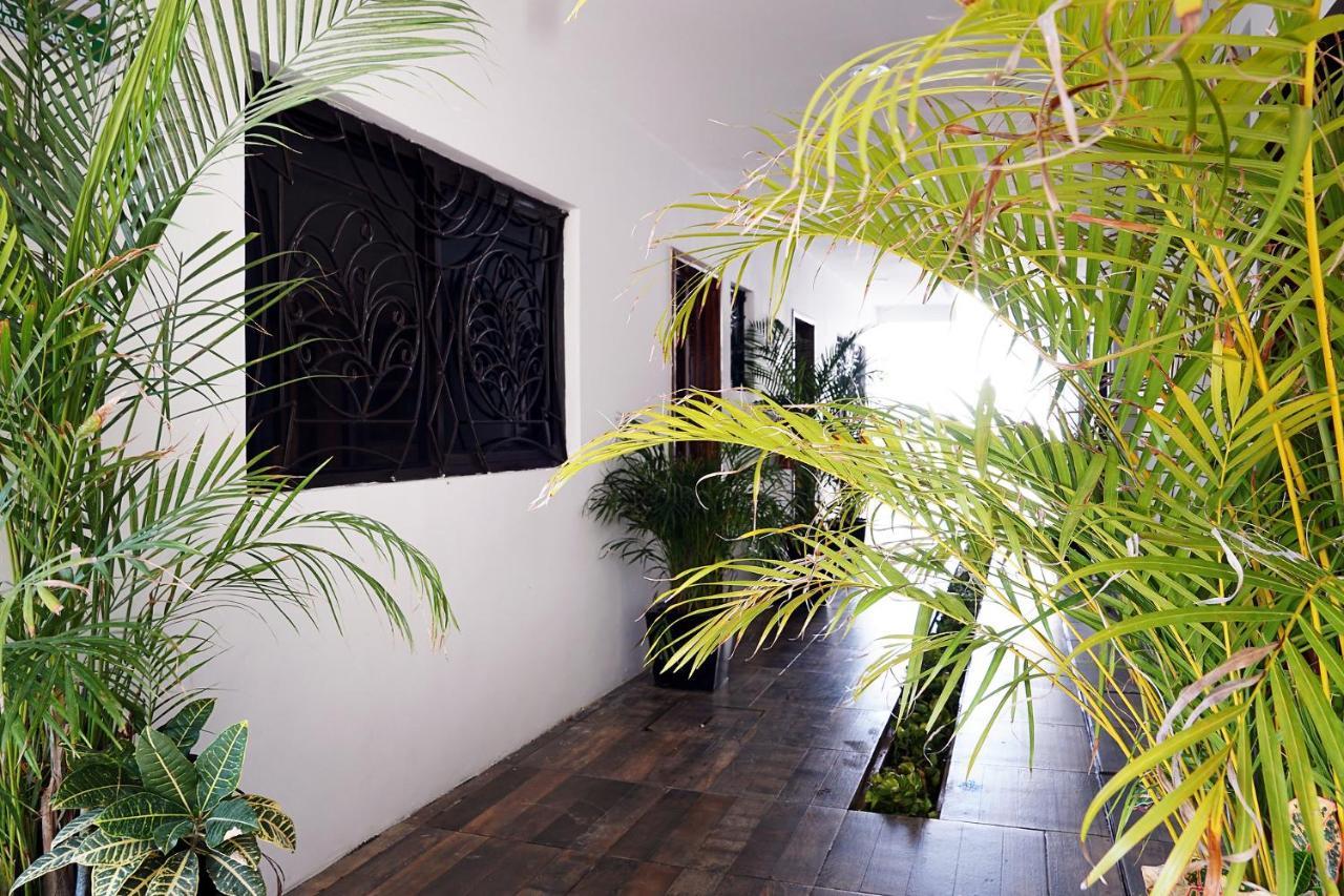 Red Panda Hostal Playa del Carmen Exterior photo