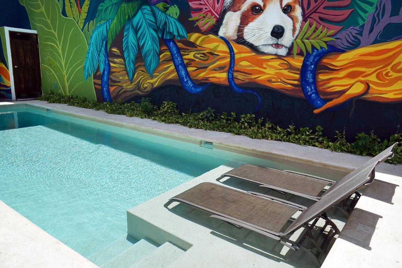 Red Panda Hostal Playa del Carmen Exterior photo